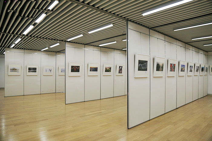 Exhibition hall activity partition